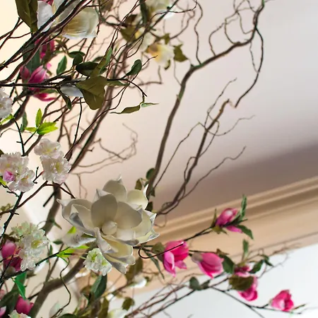 Sint Nicolaas Hotel Amsterdam