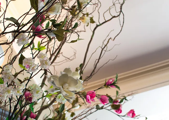 Sint Nicolaas Hotel Amsterdam